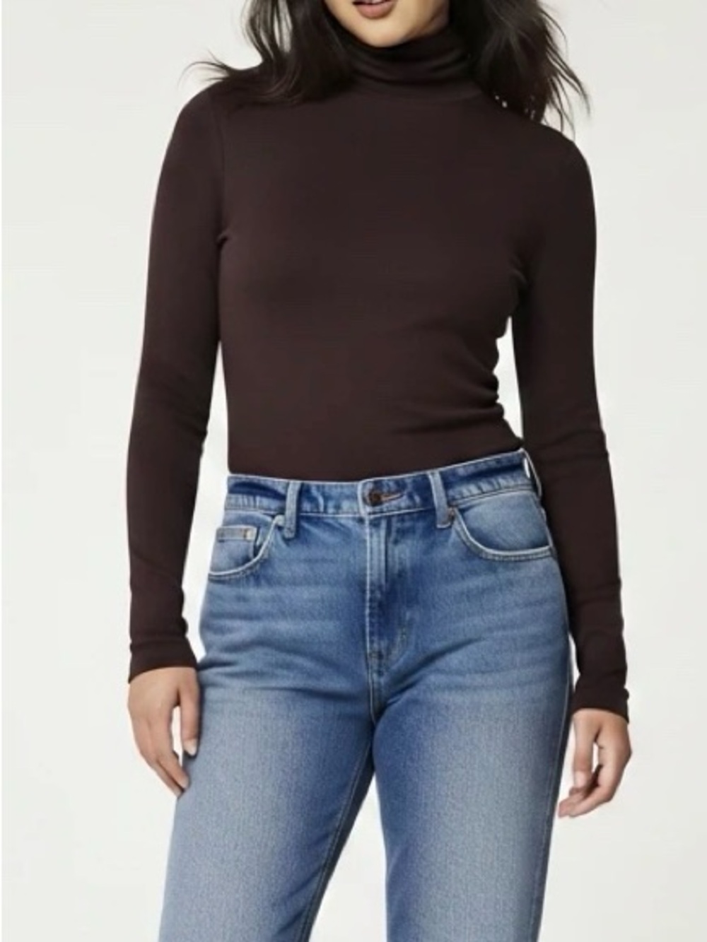 Chico's Brown Turtle Neck Sweater